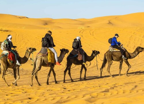 Ruta de 3 Días desde Marrakech a Fez via Desierto