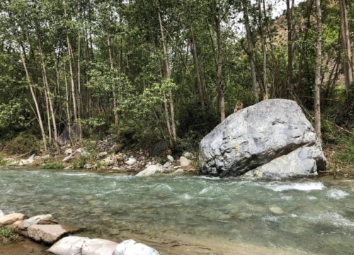 Excursión al Valle de Ourika