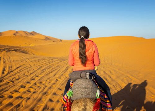 Ruta por Fin De Año en El Desierto