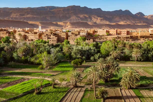 Agricultura en Marruecos