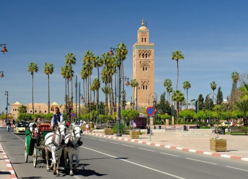 ¿Cuál es Mejor? Marrakech o Fez!
