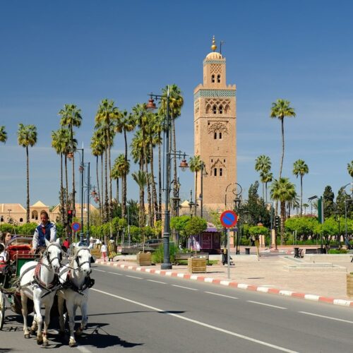 ¿Cuál es Mejor? Marrakech o Fez!