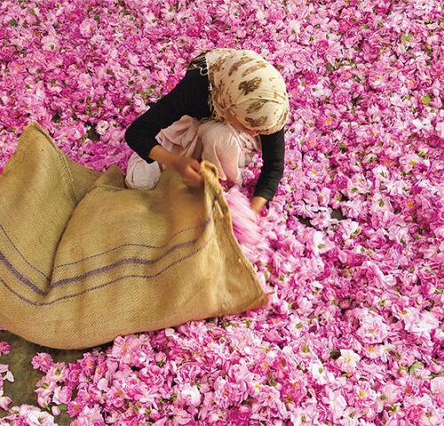 Valle de Las Rosas en Marruecos